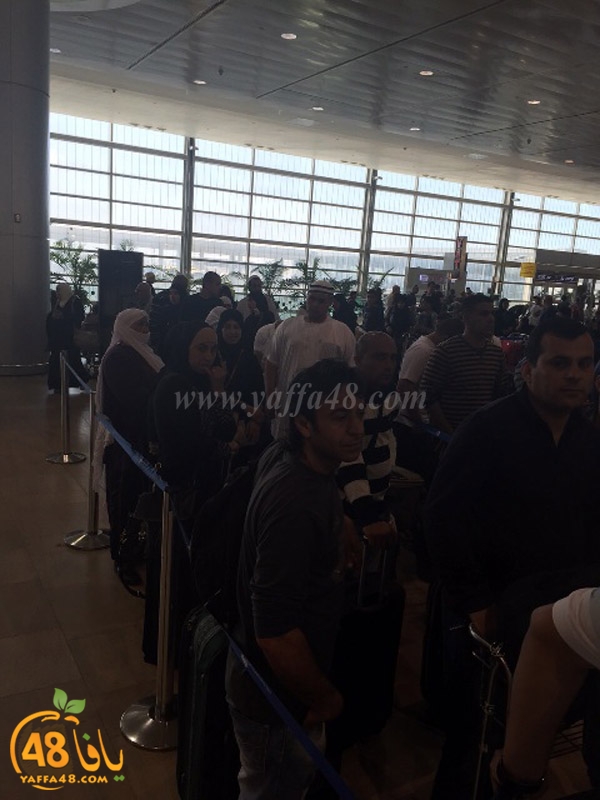 lud 3omra plane lud (16).jpg